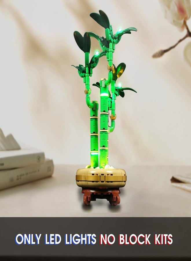 Vaodest مصباح Vaodest LED لمجموعة Lego 10344 Lucky Bamboo (متوافق مع مكعبات بناء Lego 10344، مصباح LED فقط) - Image 2